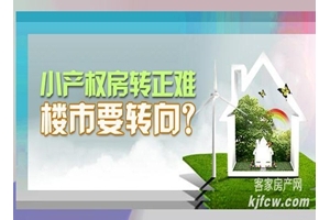 小产权房转正难，楼市要转向？