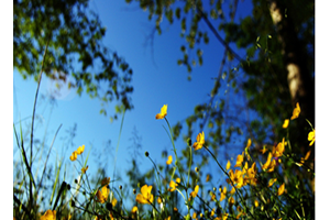 【十里龙泉·龙湖】中国的瓦尔登湖