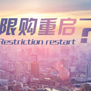 房价惊现“四小龙” 8城或重启限购