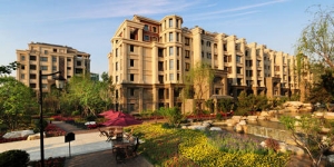 “地王”辈出 这些城市为何不限购？