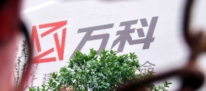 欧盟和万科的悲剧对管理者的启示！